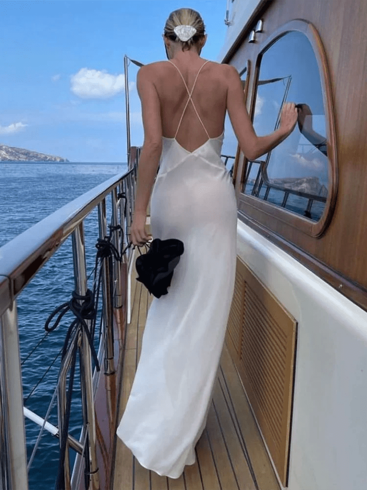 Bianca Deep V Sheer Slip Maxi Dress